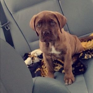 Meet your Posher, Eva